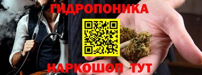 эйфоретик Можга